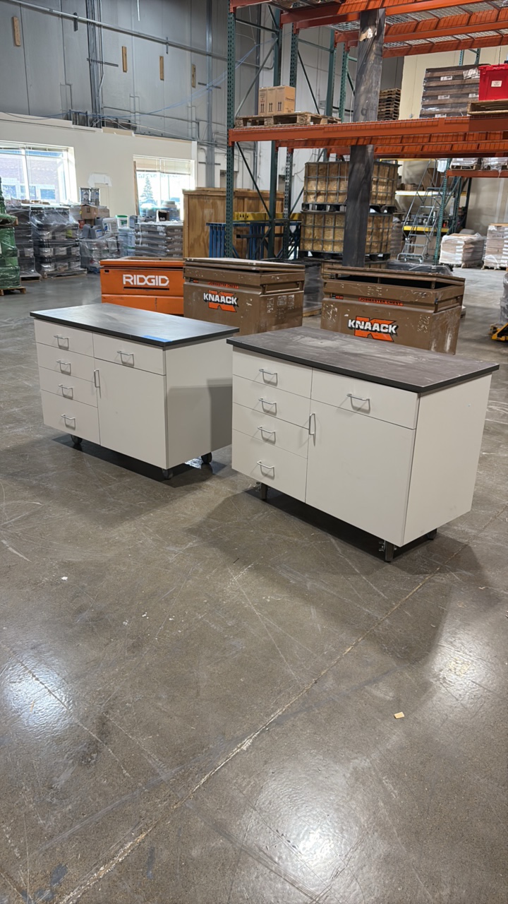 lot 78 image: (2) Job Site Rolling Cabinets