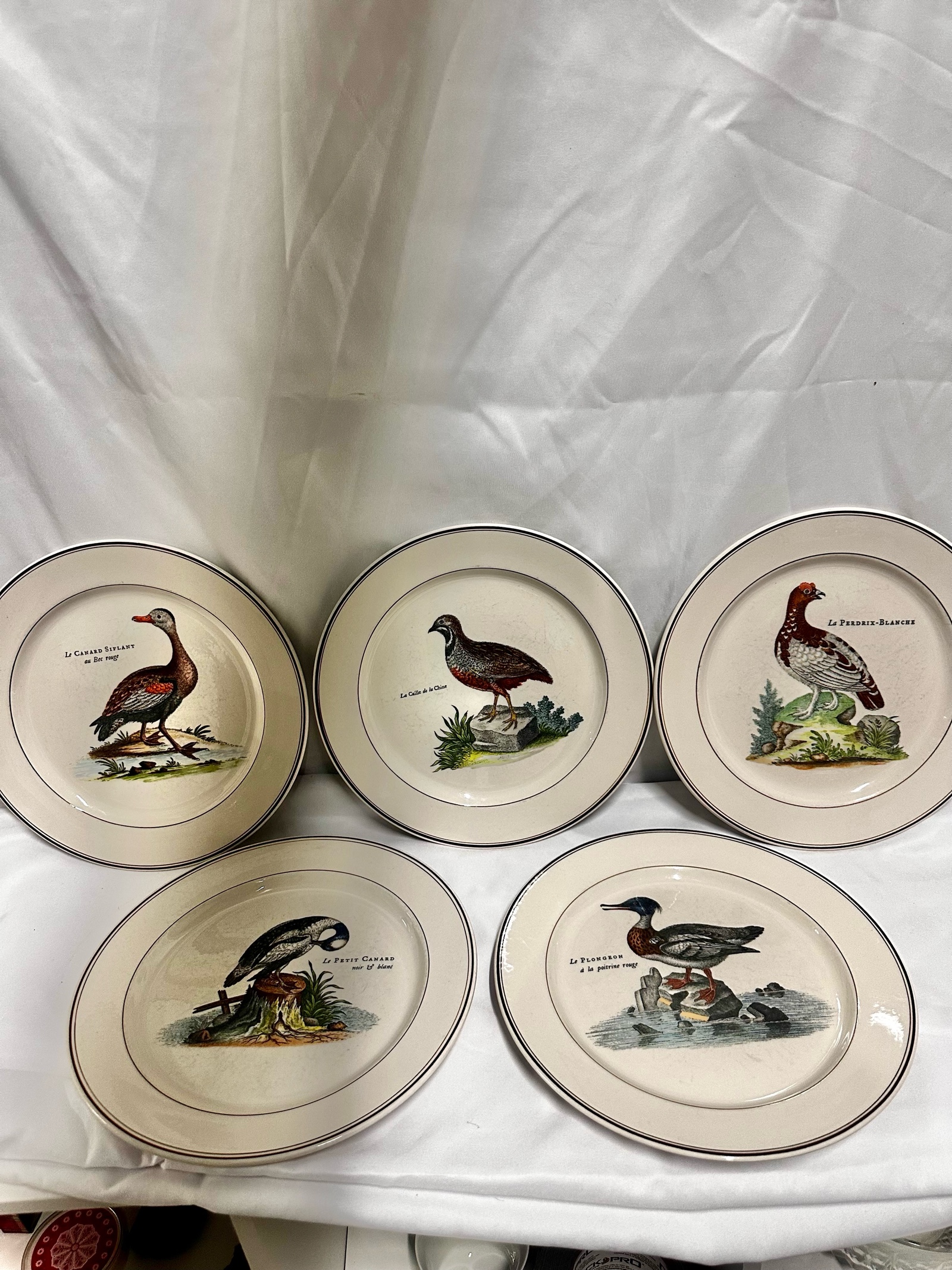 5 sought after Villeroy & Boch Paradiso dinner plates, featuring various wild game birds and a brown trim.