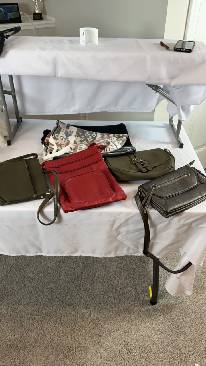 Assorted Handbag & Tote Collection  6 Piece Variety Set  Crossbody, Shoulder & Canvas Bags