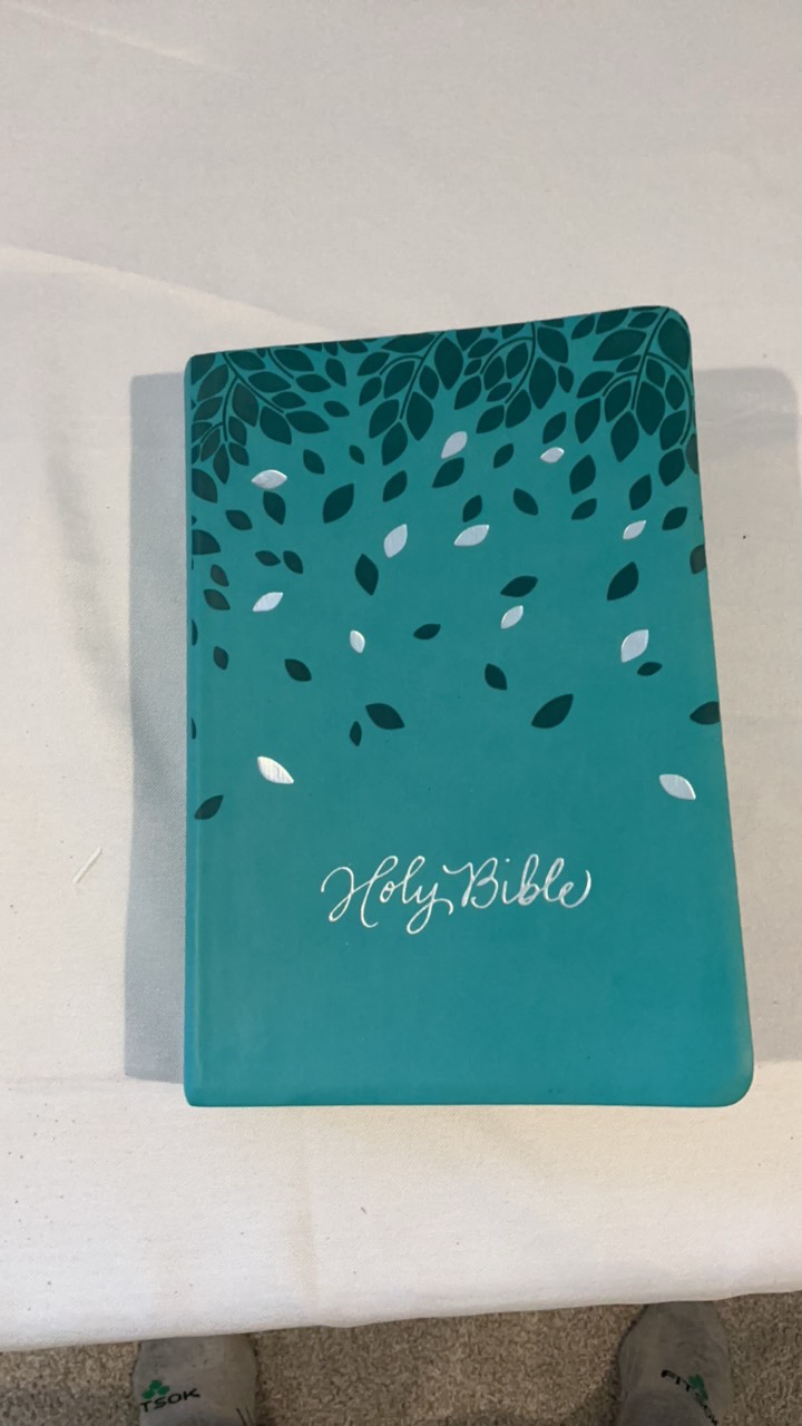 Zondervan NIV Holy Bible - Teal Leathersoft Leaf Design, Thumb Indexed