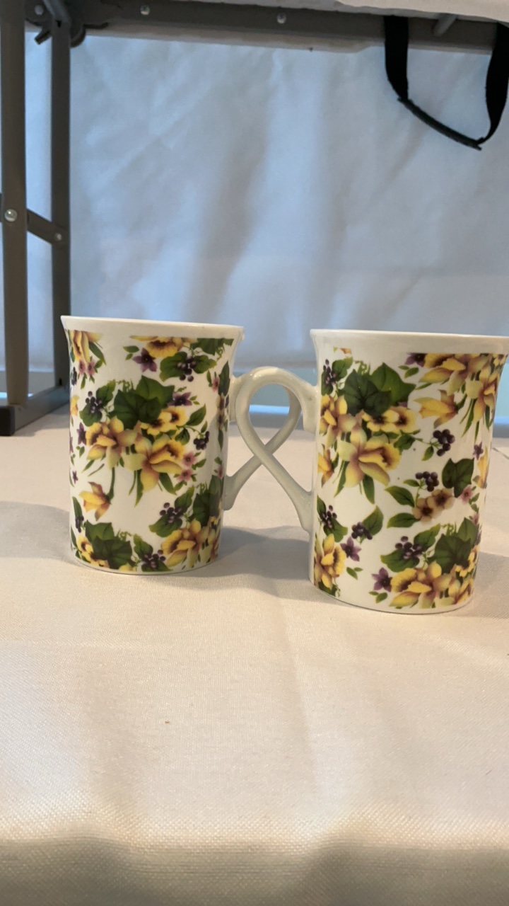Set of 2 Floral Porcelain Coffee Mugs - Botanical Wrap Pattern