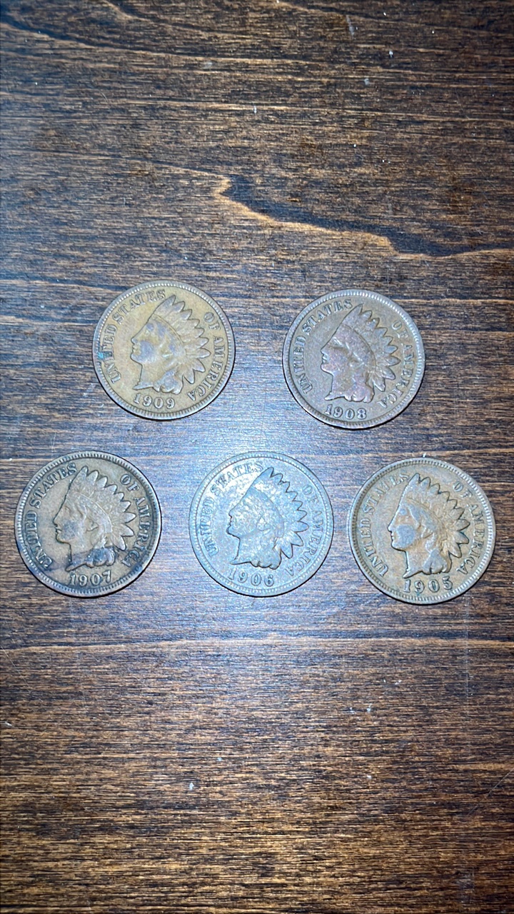 lot 21 image: 1909-1905 Indian Head Cents