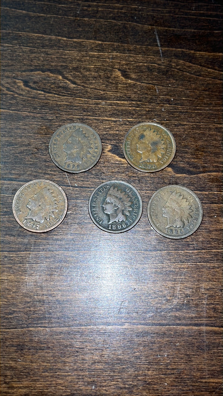 lot 23 image: 1899-1895 Indian Head Cents