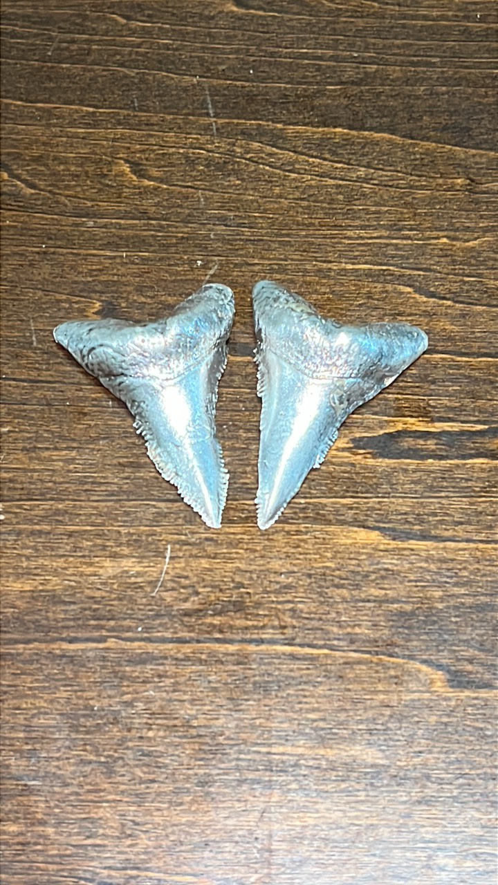 lot 47 image: Pure Silver Shark Teeth 999 fine