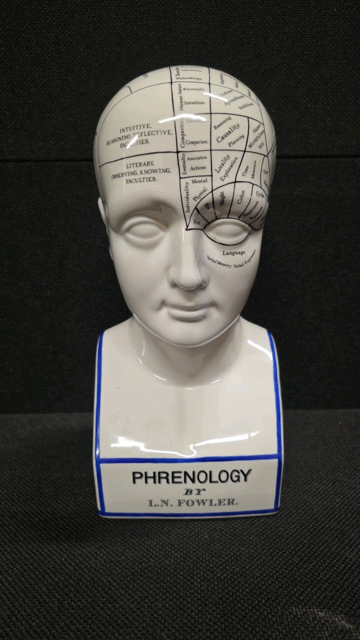 lot 101 image: Porcelain Phrenology Head Statue - A replica of the original L.N. Fowler bust ( M&M Resources )