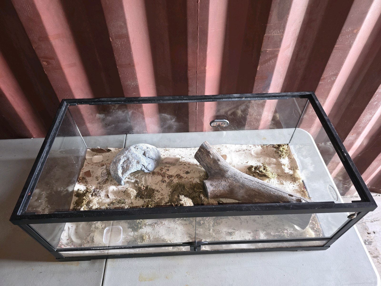 lot 157 image: Rectangular Glass Reptile TerrariumEnclosure. For snakes, turtles, lizards, etc.