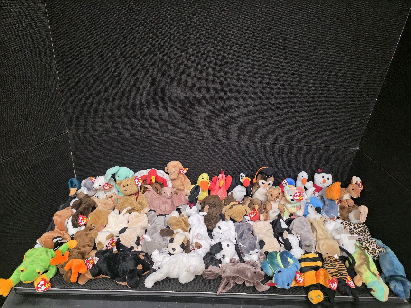 lot 176 image: Lot of 50 Vintage Beanie Babies