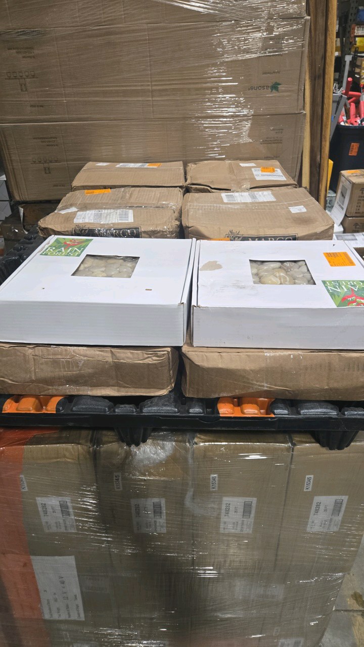 lot 14 image: Rain Forest 12 in. x 12 in. White Mid-Polish Pebble Stone Floor and Wall Tile (60 sq. ft.)