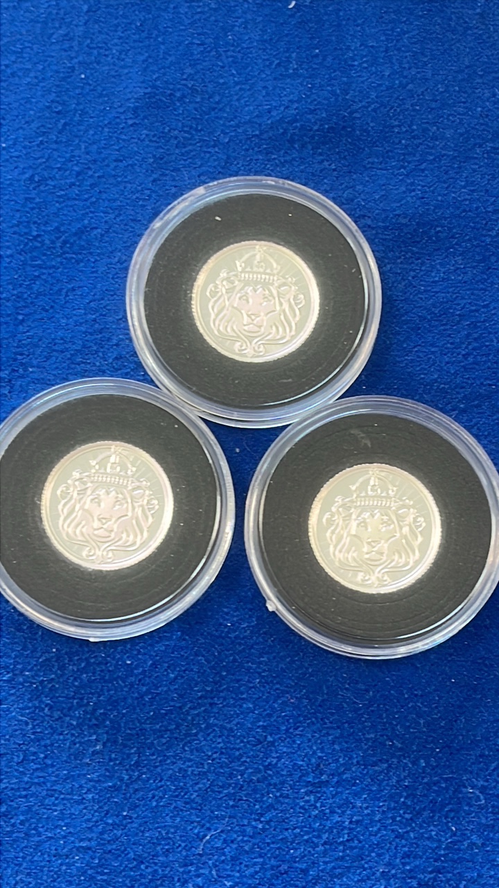 lot 13-1 image: Scottsdale Mint 3 110 ozt silver rounds