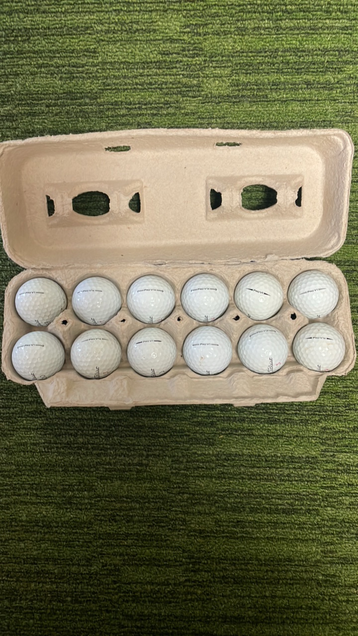 lot 64C image: One dozen Titleist Pro V golf balls-used in good condition