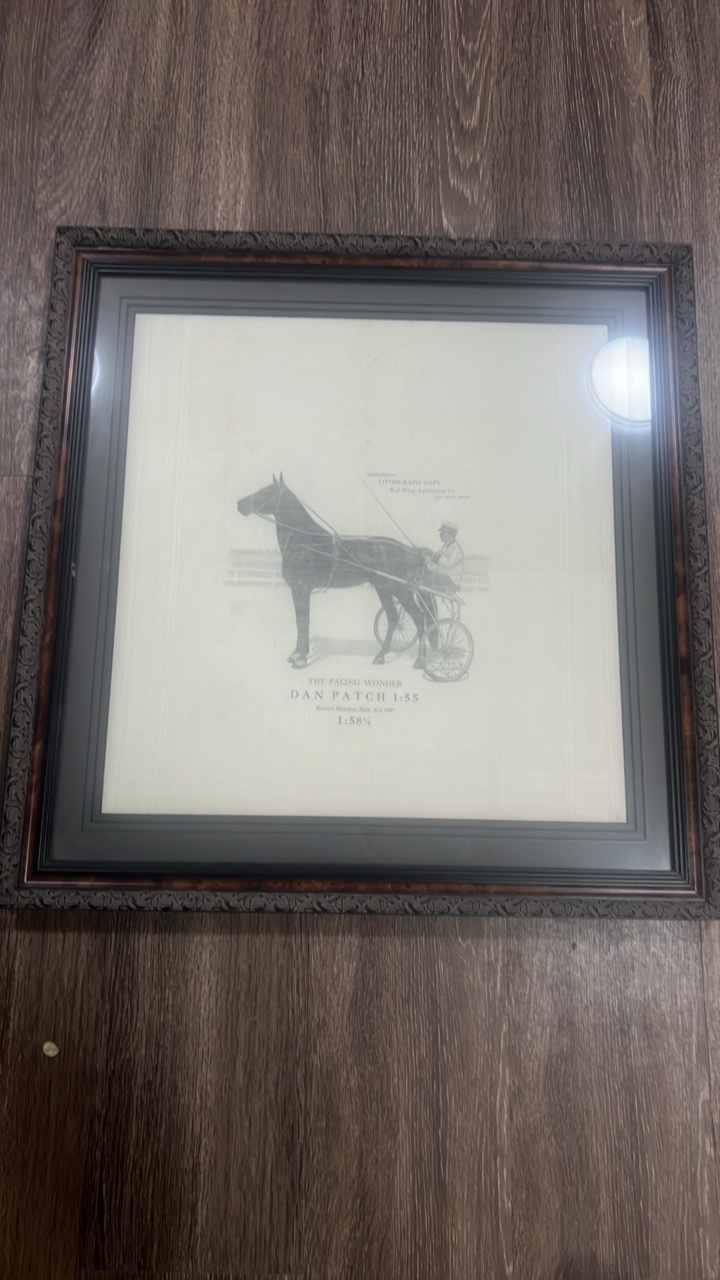 lot 15 image: vintage Dan patch handkerchief