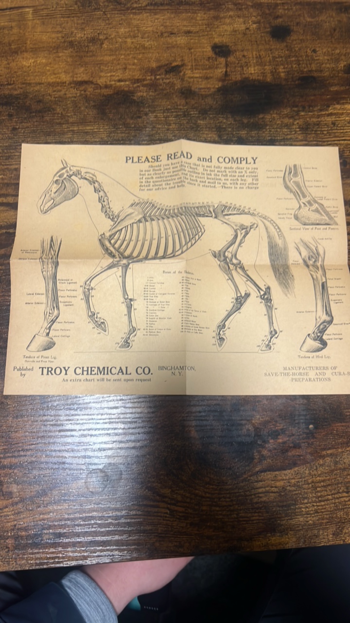 lot 167 image: antique horse related advertisement