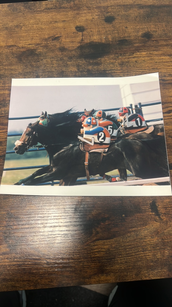lot 188 image: horse racing training photograph