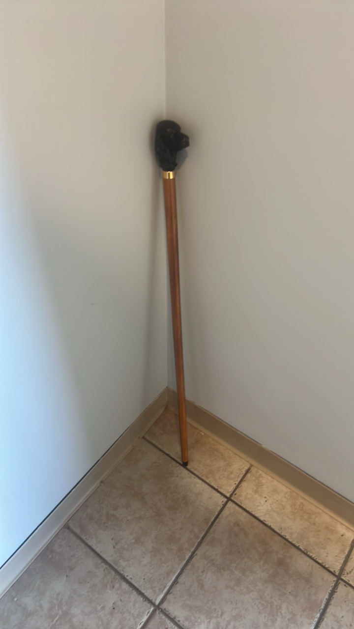 lot 7 image: vintage cane with dog head