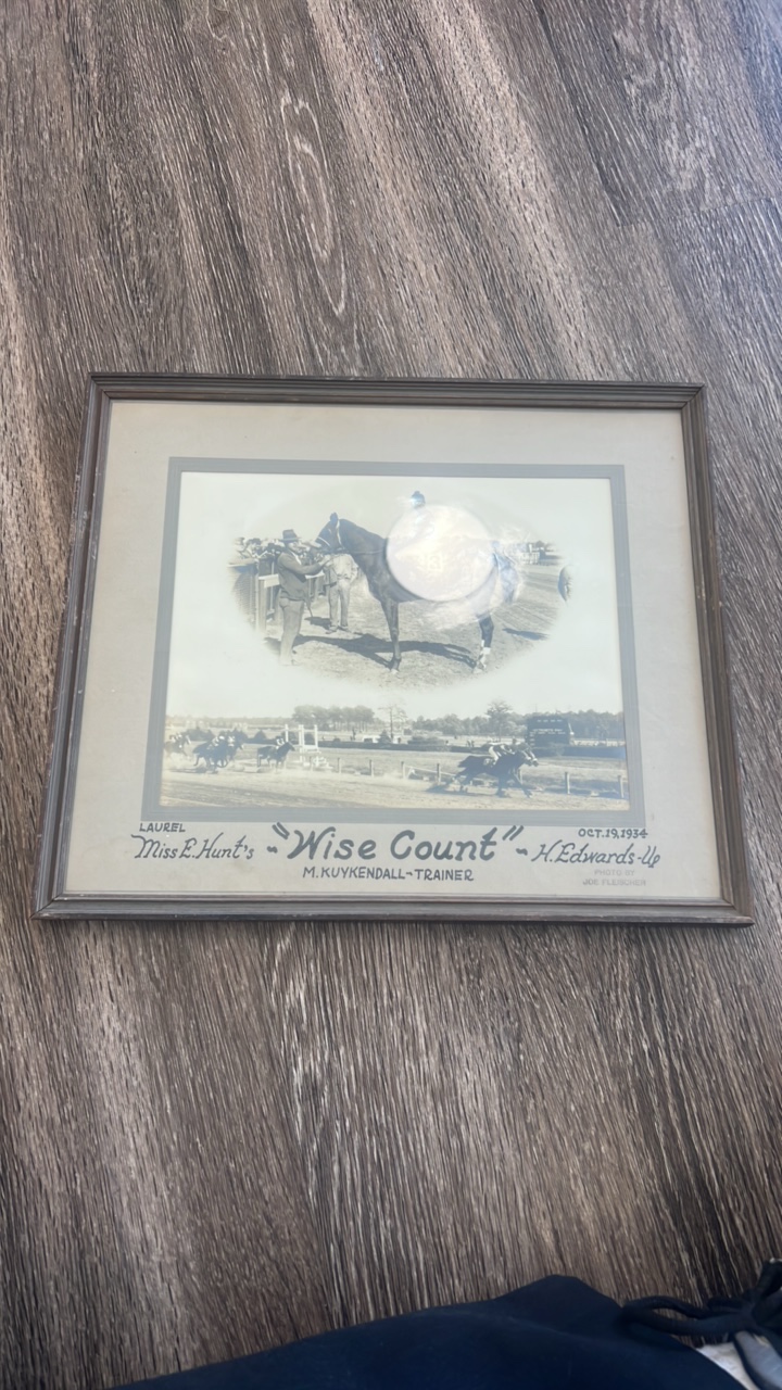 lot 81 image: 1934 wise count horse racing photo