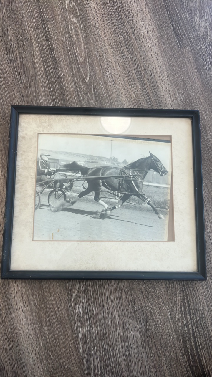 lot 84 image: 1958 horse racing photo from Del Mar