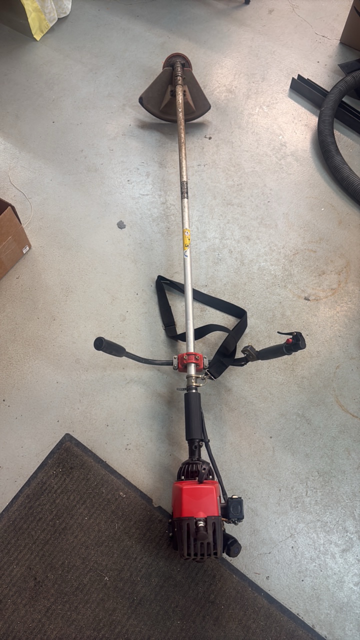 lot 189 image: PROFESSIONAL Brushcutter and string trimmer