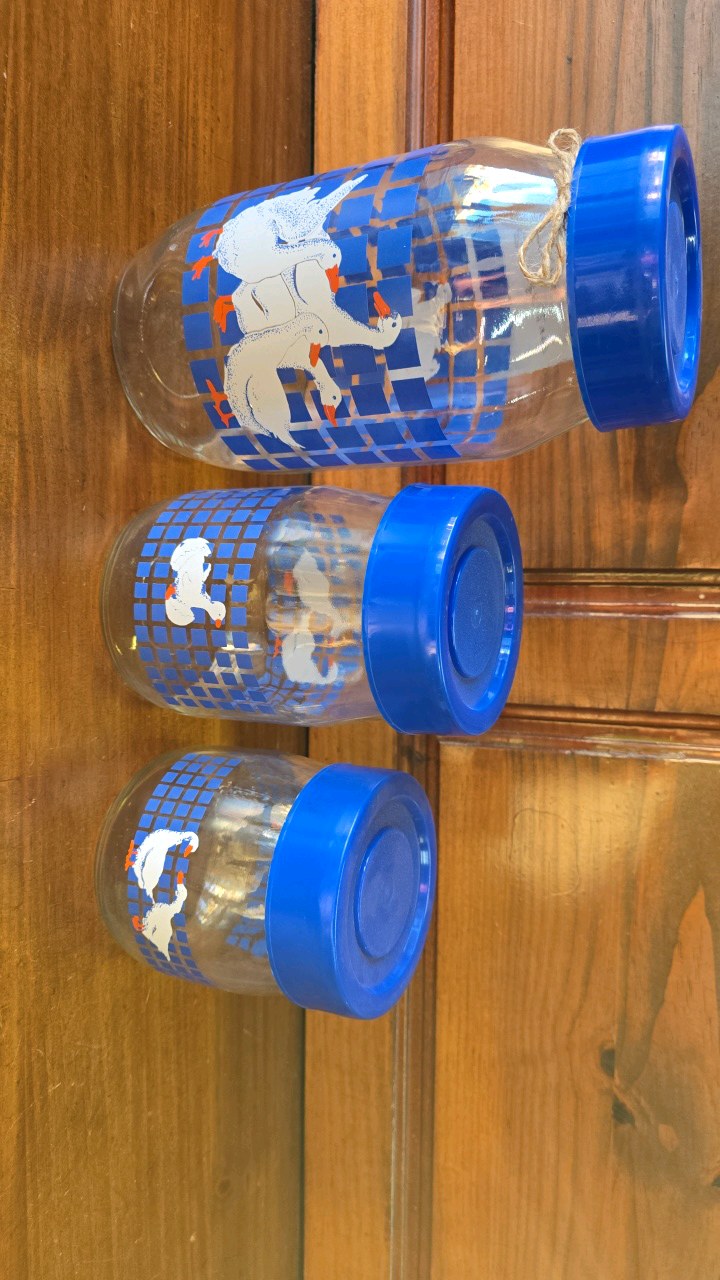 lot 46 image: Geese Kitchen Glass Jars with Lids