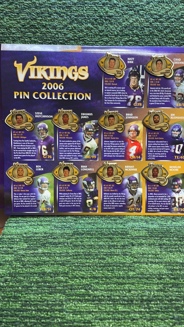 lot 179 image: 2006 Vikings Pin Collection, 22 in Total