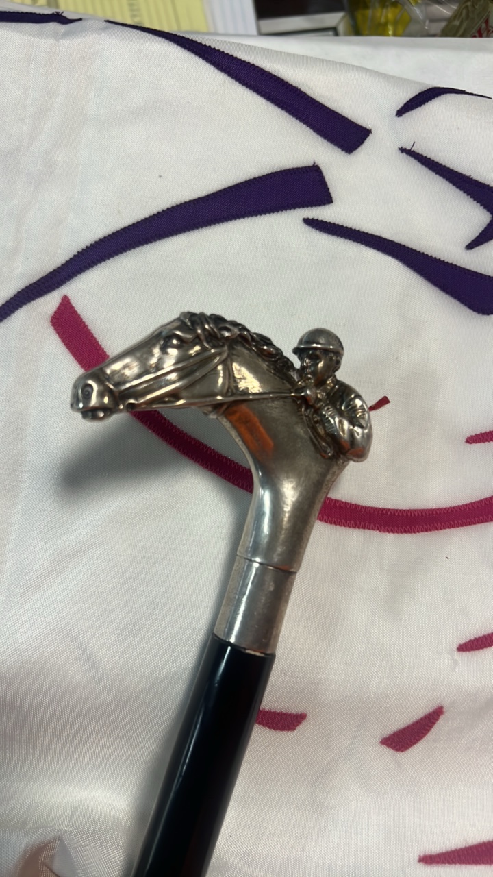 lot 21-1 image: horse and jockey came