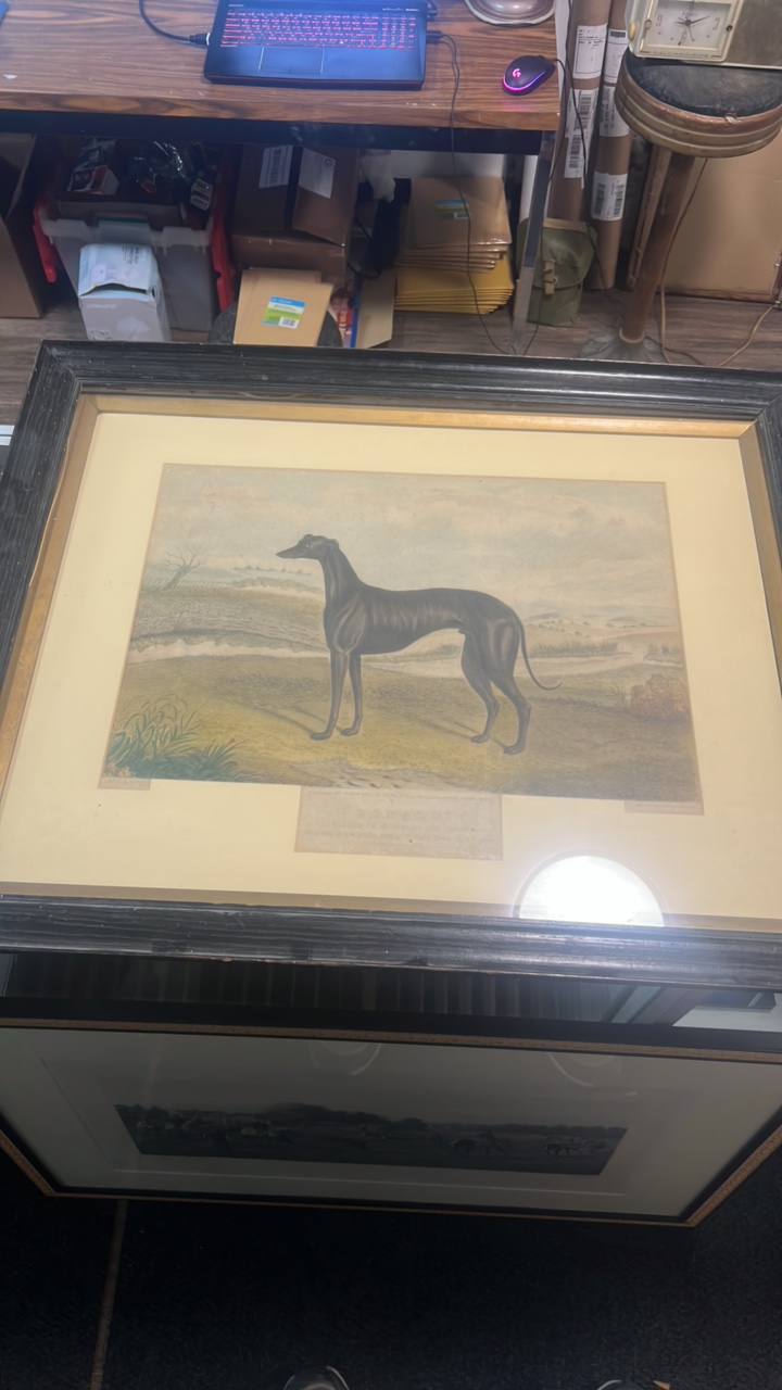 lot 25 image: 1876 DONALD greyhound etching