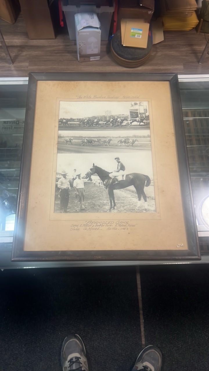 lot 63 image: spangled game horse racing photograph