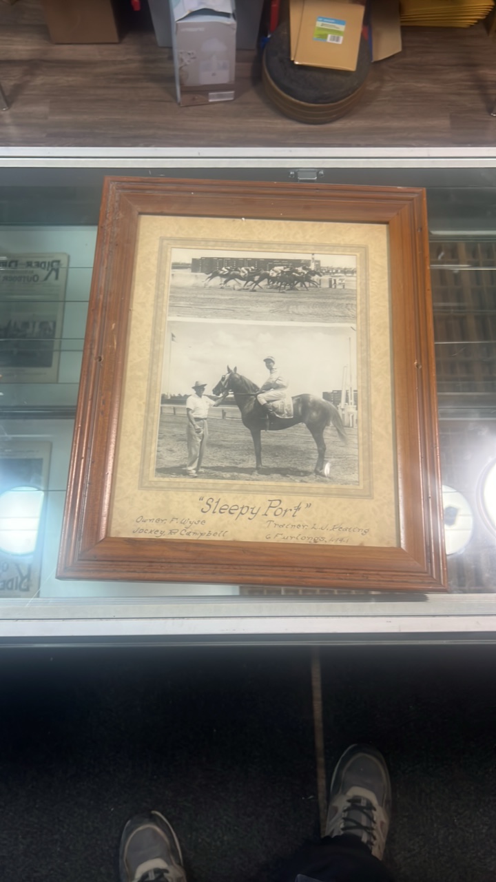 lot 64 image: sleepy port horse racing photograph