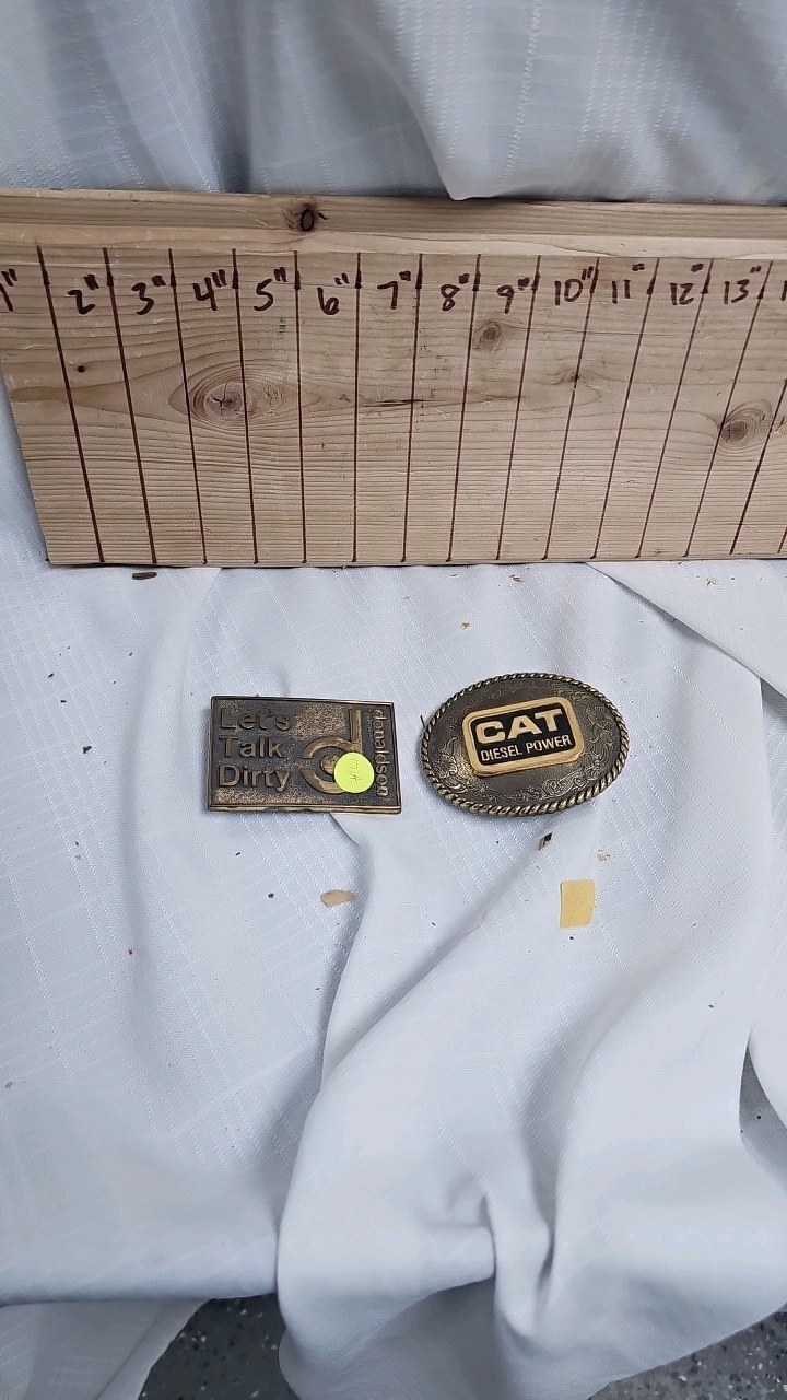 lot 171A image: Pair of Belt Buckles-Donaldson and CAT