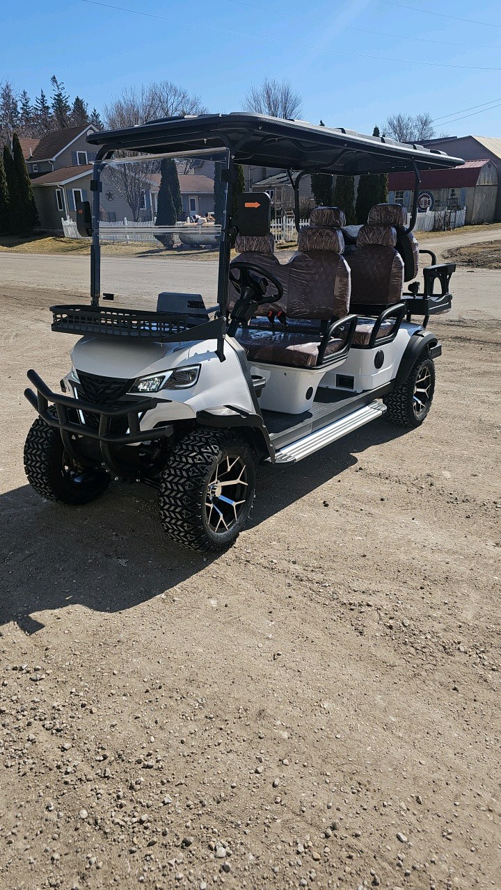 lot 70 image: SDLANCH 6 Seat Golf Cart SDLGC100