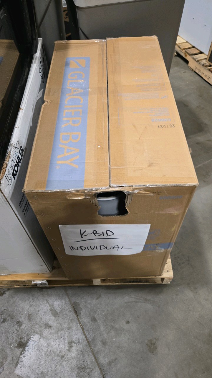 lot 71 image: Glacier Bay 12 Elongated White With Seat