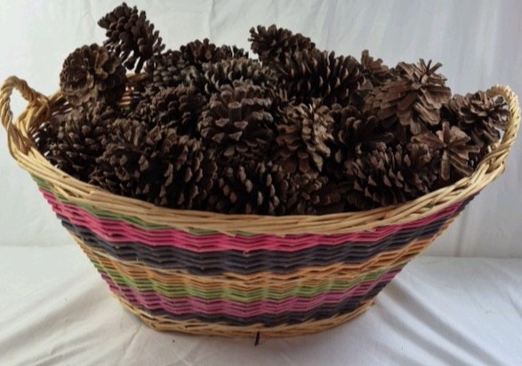 lot 69 image: Vintage Handwoven Wicker Basket  Multicolor Striped Design