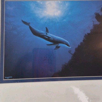 lot 8 image: 1993 Signed Dolphin Print  Underwater Orca in Blue Depths