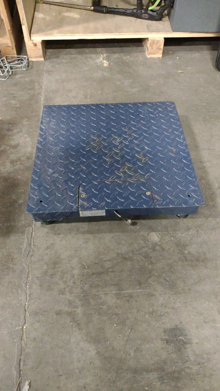 lot 118 image: scale plate