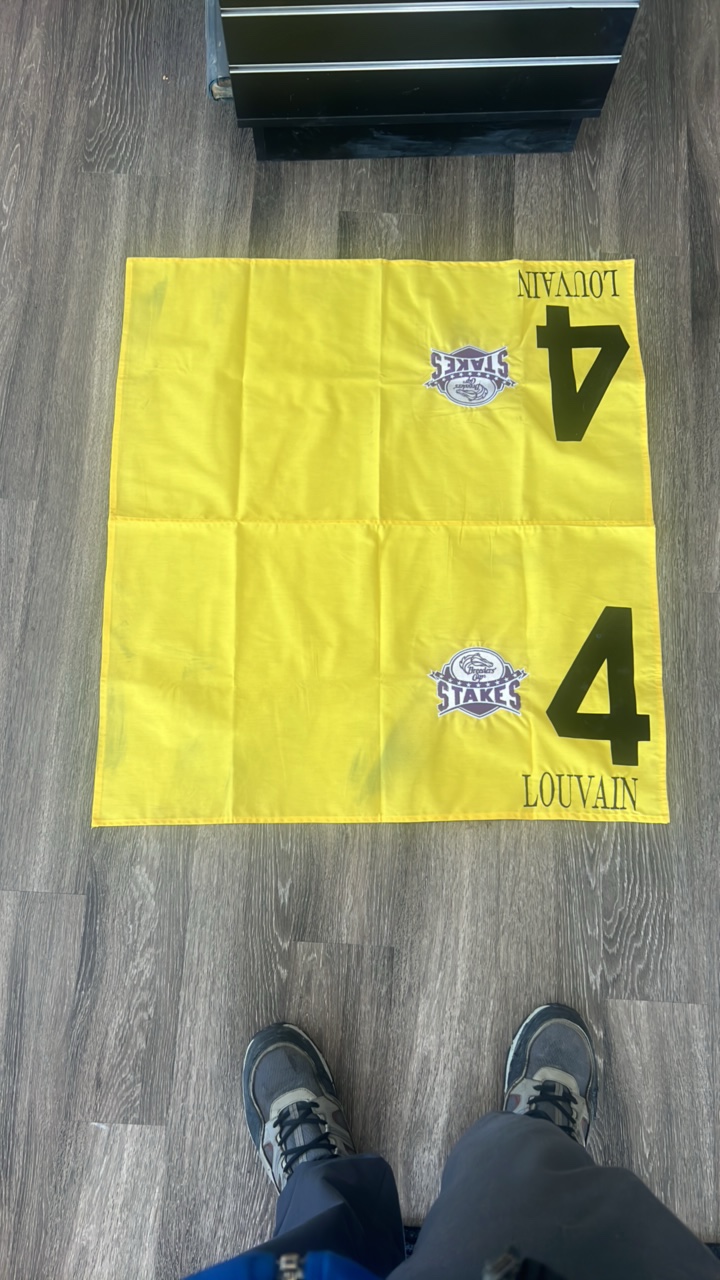 breeders cup stakes louvain #4 horse blanket