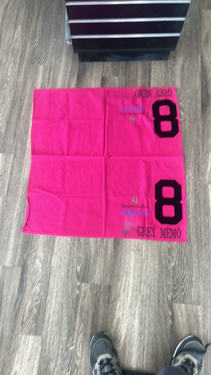 Hollywood park grey memo #8 horse blanket