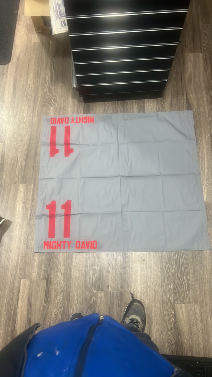 mighty David #11 horse blanket Delmar 2002