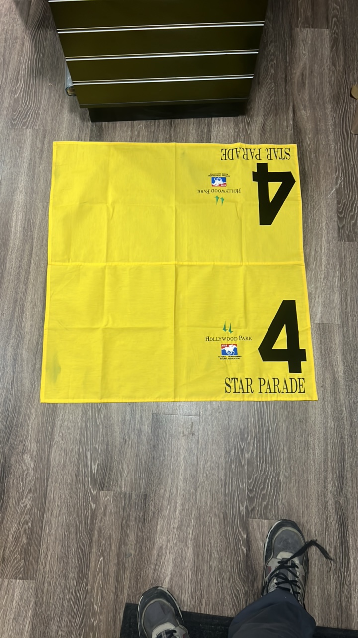 Hollywood park star parade #4 horse blanket