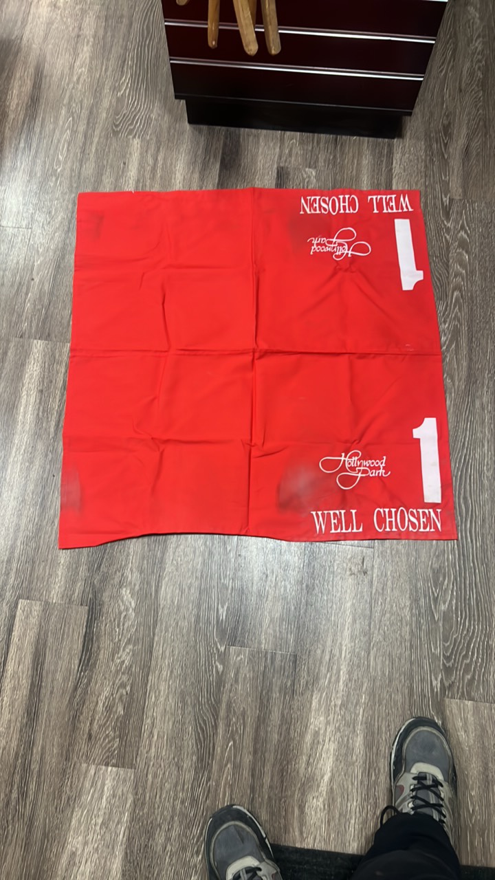 Hollywood park well chosen #1 horse blanket