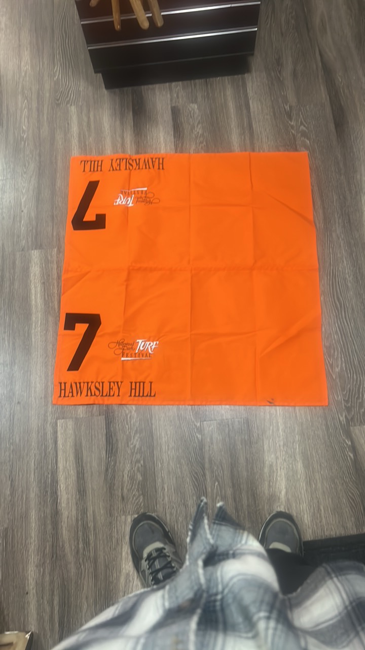 hawksley hill #7 Hollywood Park turf festival horse blanket