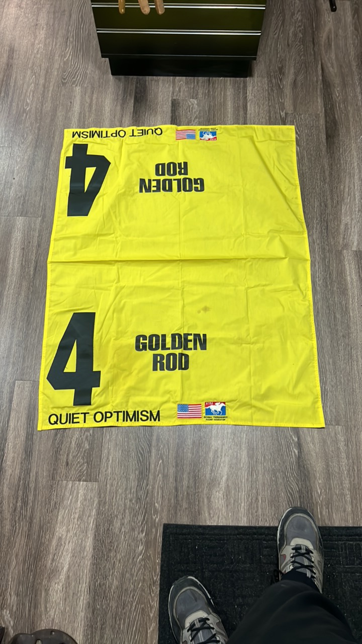 quiet optimism #4 golden rod horse blanket