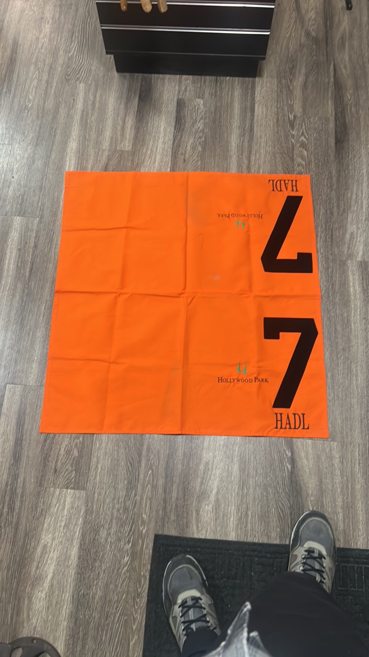 hadl #7 horse blanket