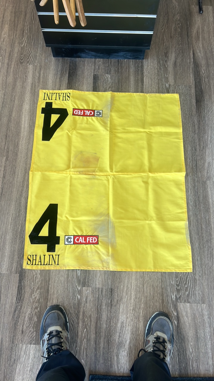 shalini #4 cal fed horse blanket