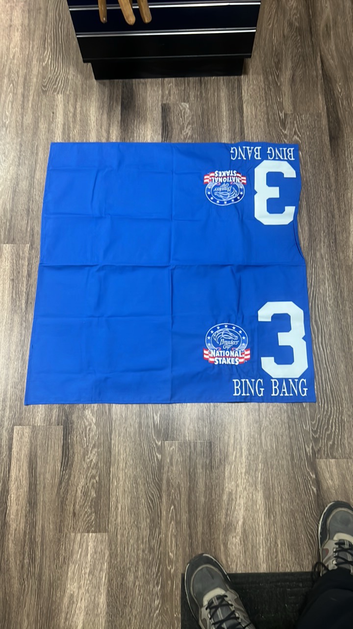 bing bang #3 breeders cup national stakes horse blanket