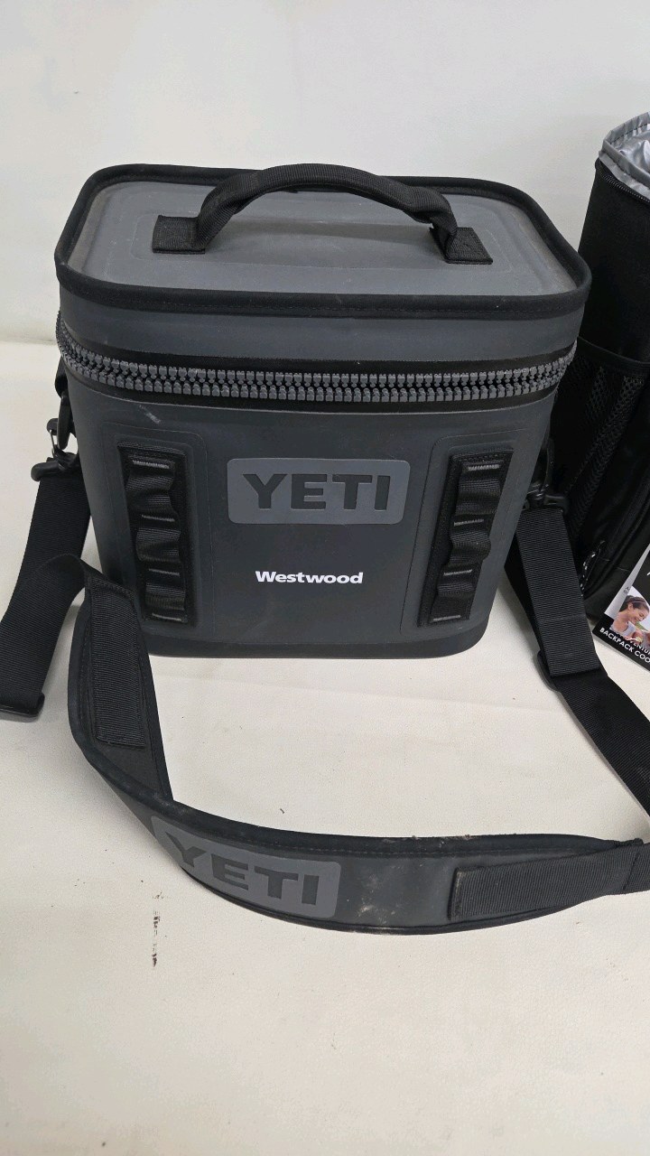 lot 39 image: Yeti, Titan,  & polar pack coolers