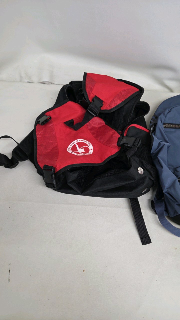 lot 49 image: 3 backpacks