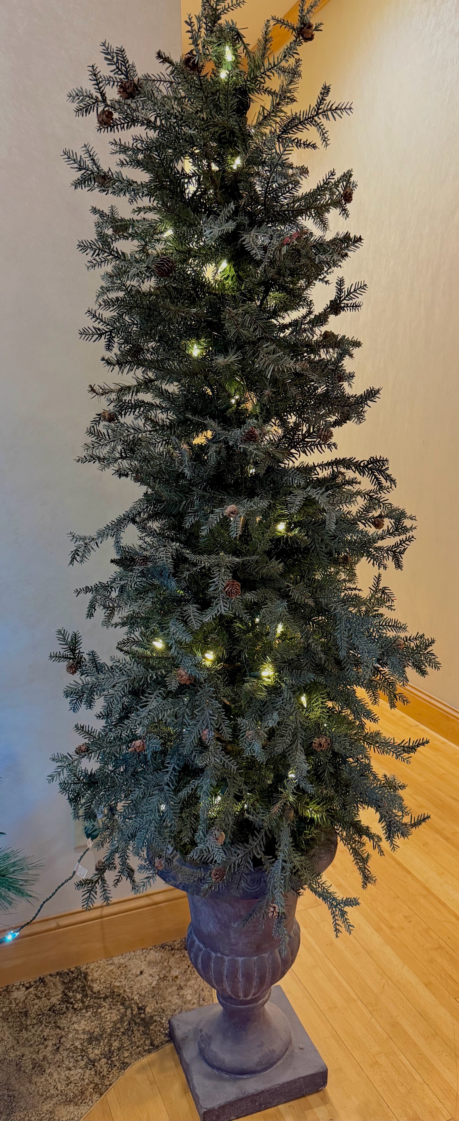 lot 227 image: tree with lights