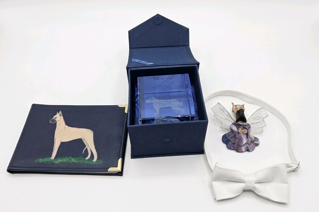 Vintage Great Dane Collectibles Lot Lucite Etched Dog Plaque in Case, Pin, Bow Tie, Photo Book