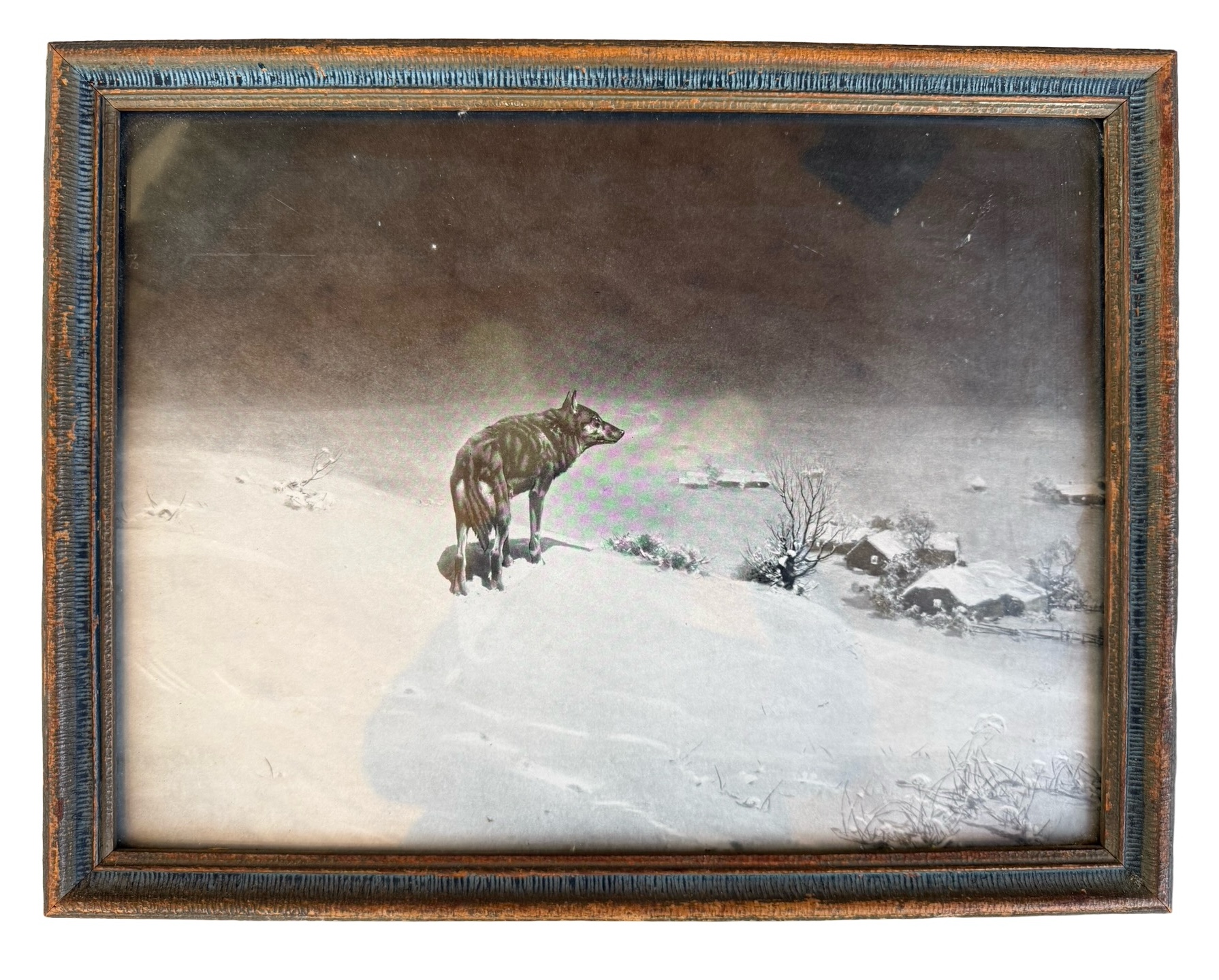 The Lone Wolf by John Drescher