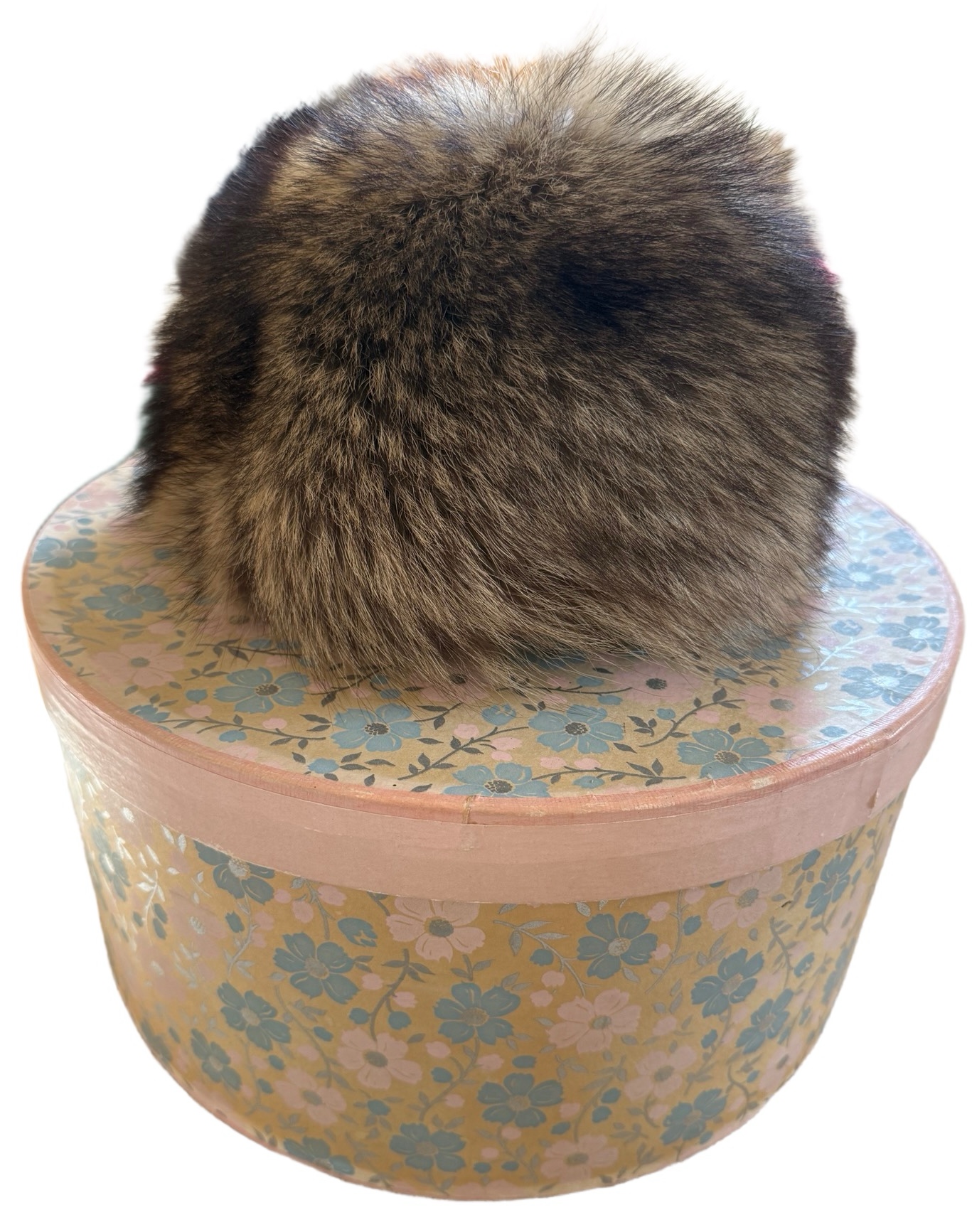 Racoon Fur Hat & Vintage Hat Box