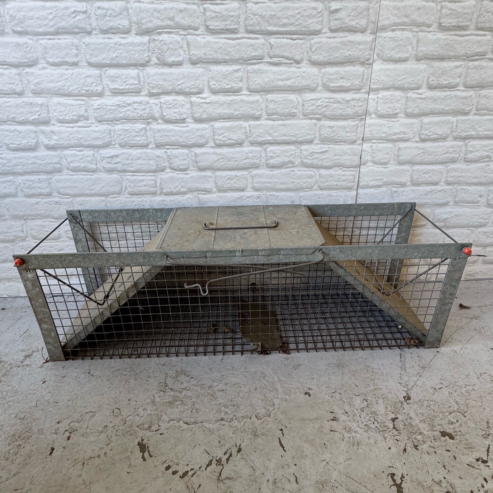 Live Animal Trap